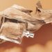 The Best Eco-Friendly Fragrance Options to Shop Now
