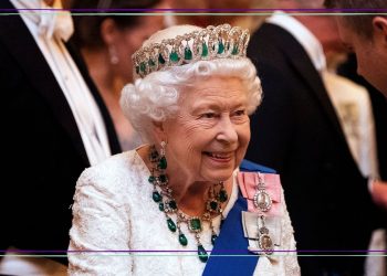 Queen Elizabeth is in full mum-mode in never-before-seen photo released by Buckingham Palace
