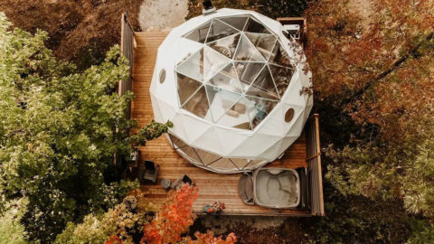 Back Forty Glamping Experience, stylish father's day gifts