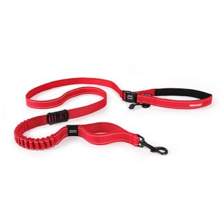 The EzyDog Road Runner Hands Free Dog Lead