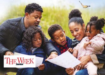 Join the Big Butterfly Count and help the environment – here’s how to get involved