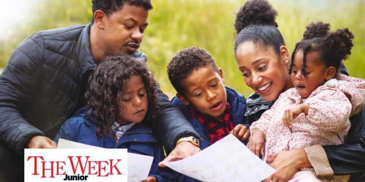 Join the Big Butterfly Count and help the environment – here’s how to get involved