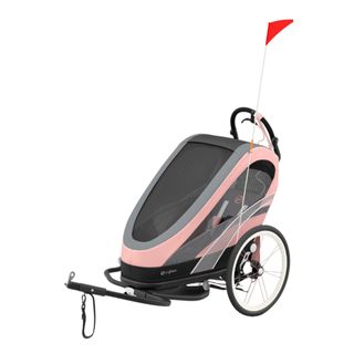 Best pushchairs of 2024 - Cybex Zeno 