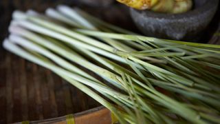Lemongrass on a table