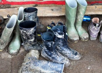 How to clean wellies – a step by step guide