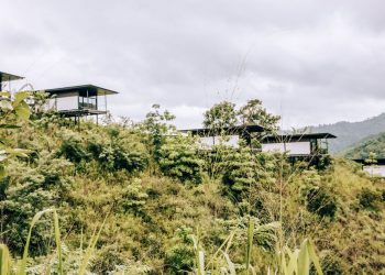 The best health retreats for rest and rejuvenation