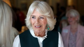 Queen Camilla reacts as she meets with representatives of charities at Hillsborough Castle