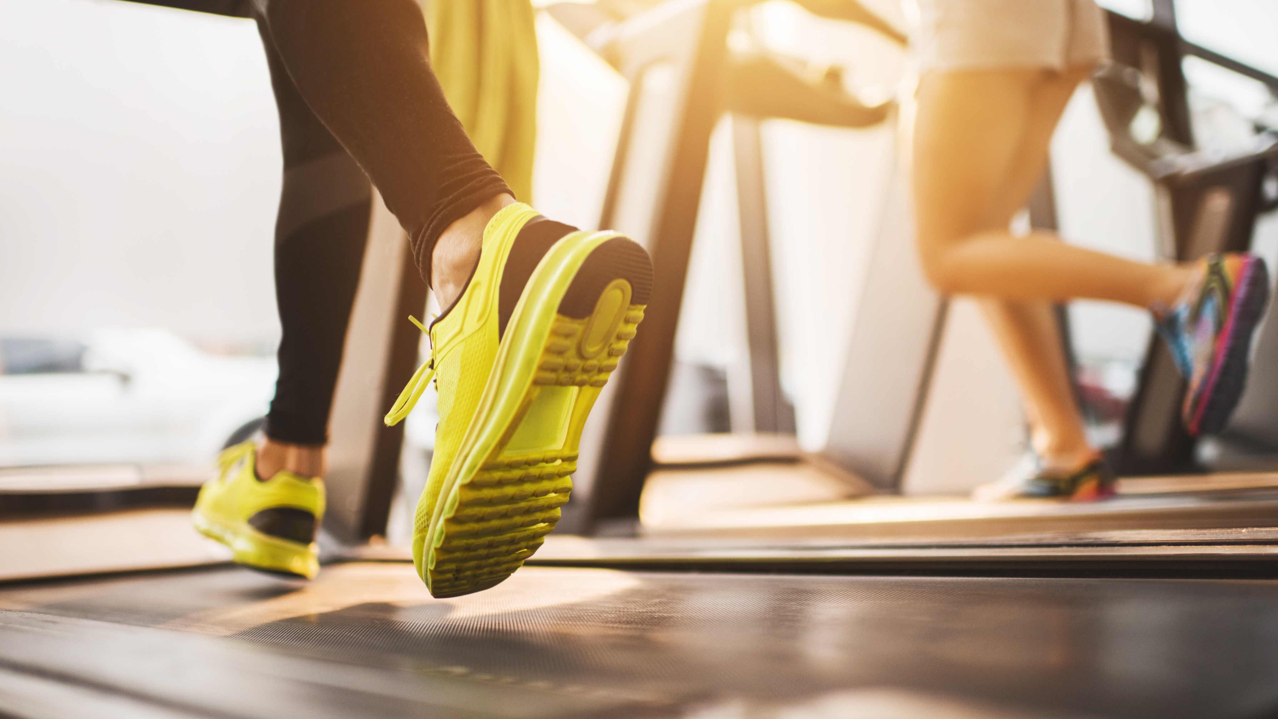 trainers on a treadmill