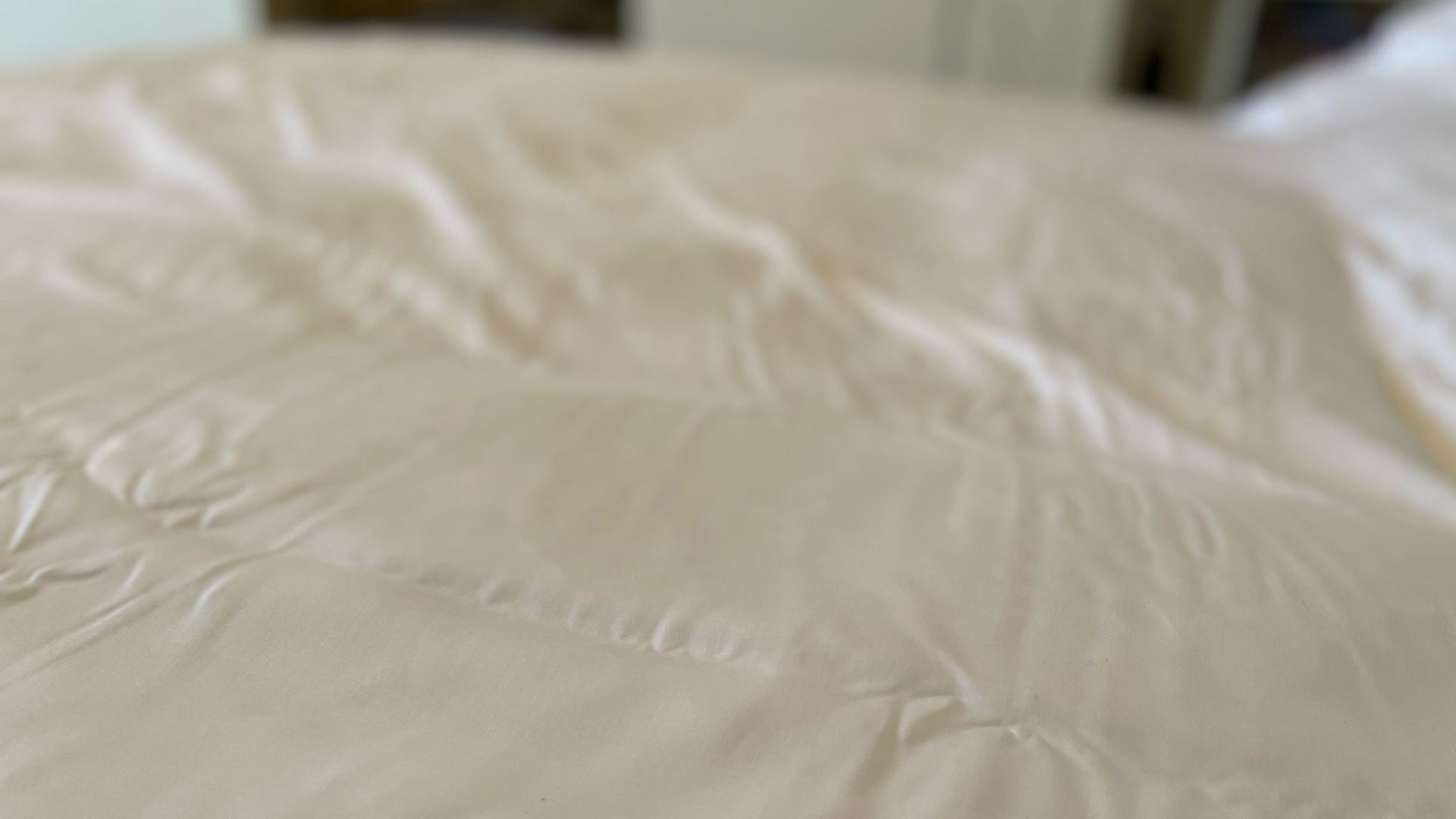 Ethical Bedding Eucalyptus Silk Sheets