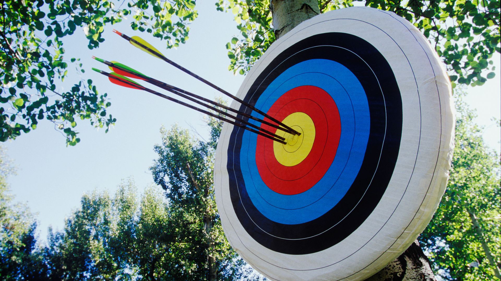 An archery target