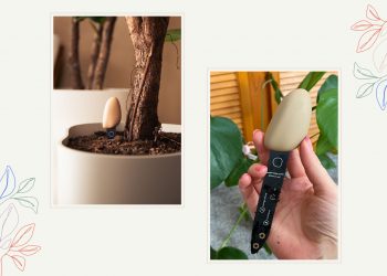 Elho’s smart pebble will revolutionise your plant parenting