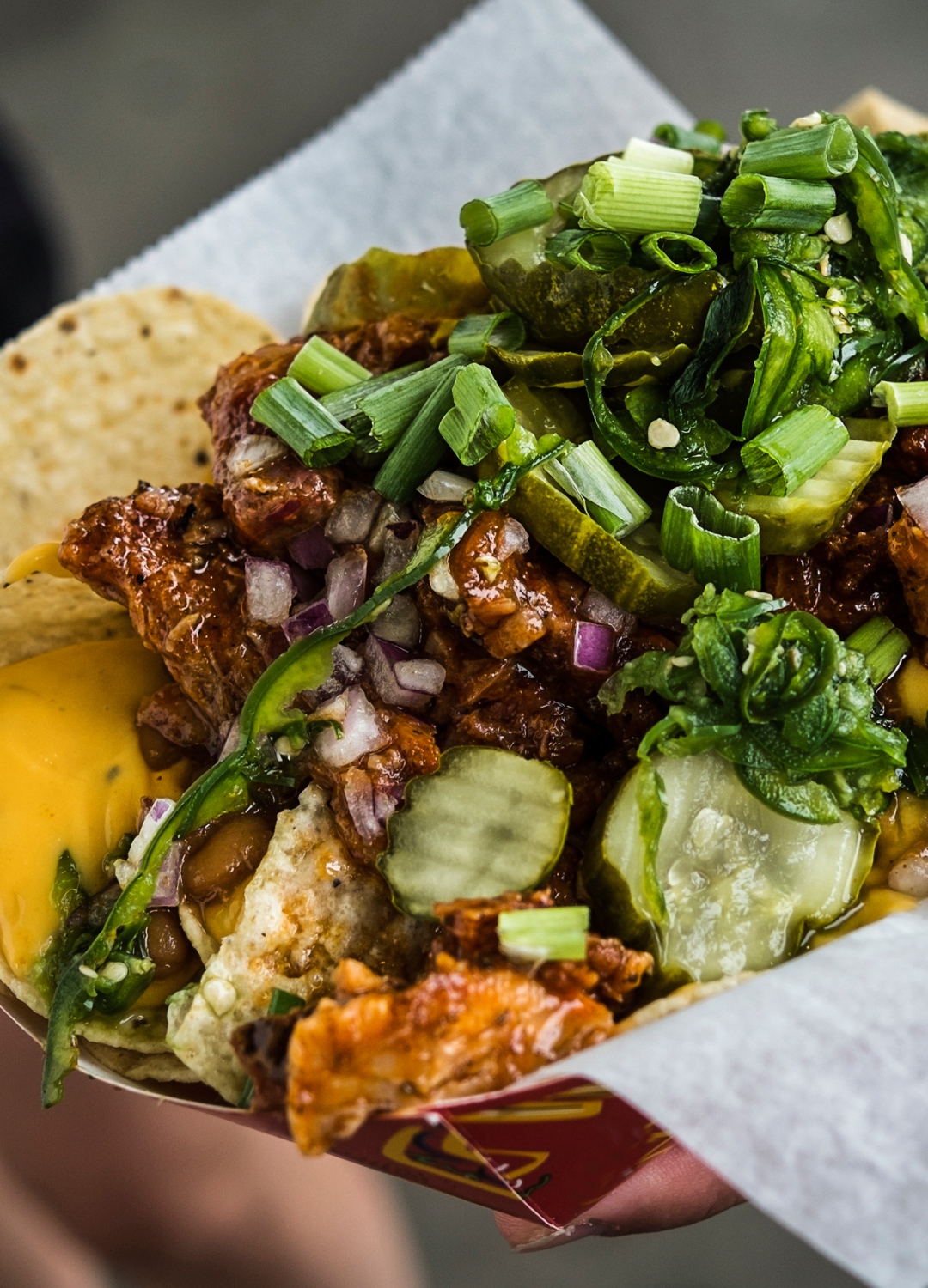Loaded nachos