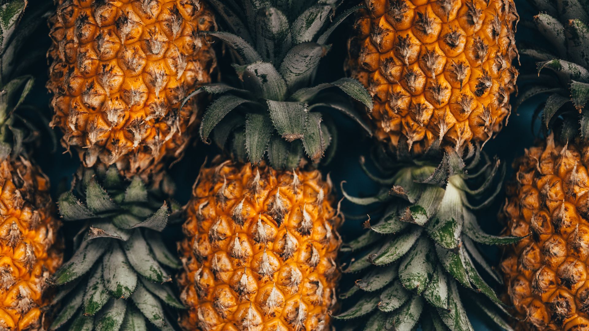 An array of golden pineapples
