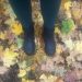 Merry People Tully Ankle Wellies review