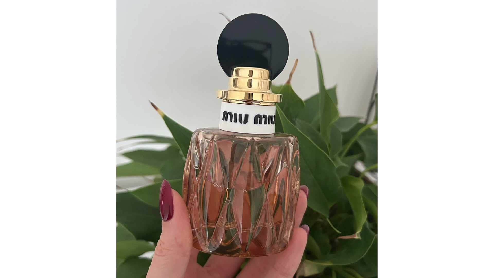 Hand holding a bottle of Miu Miu Miutine perfume in front of green leaf plant