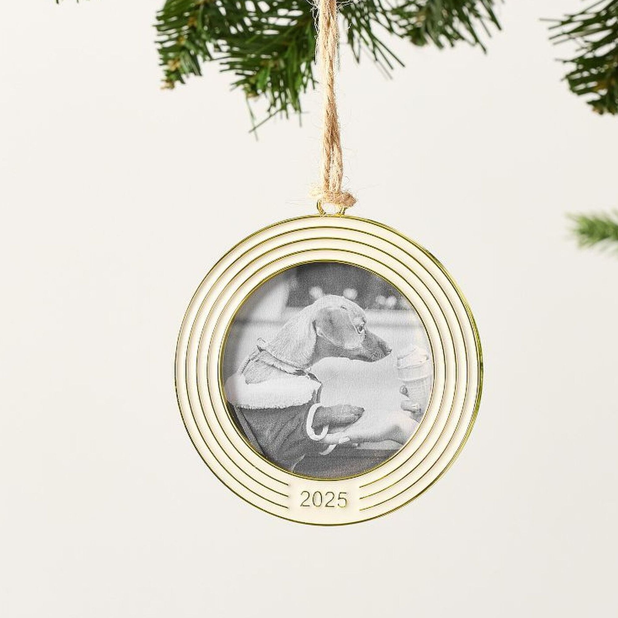 dated ornament frame