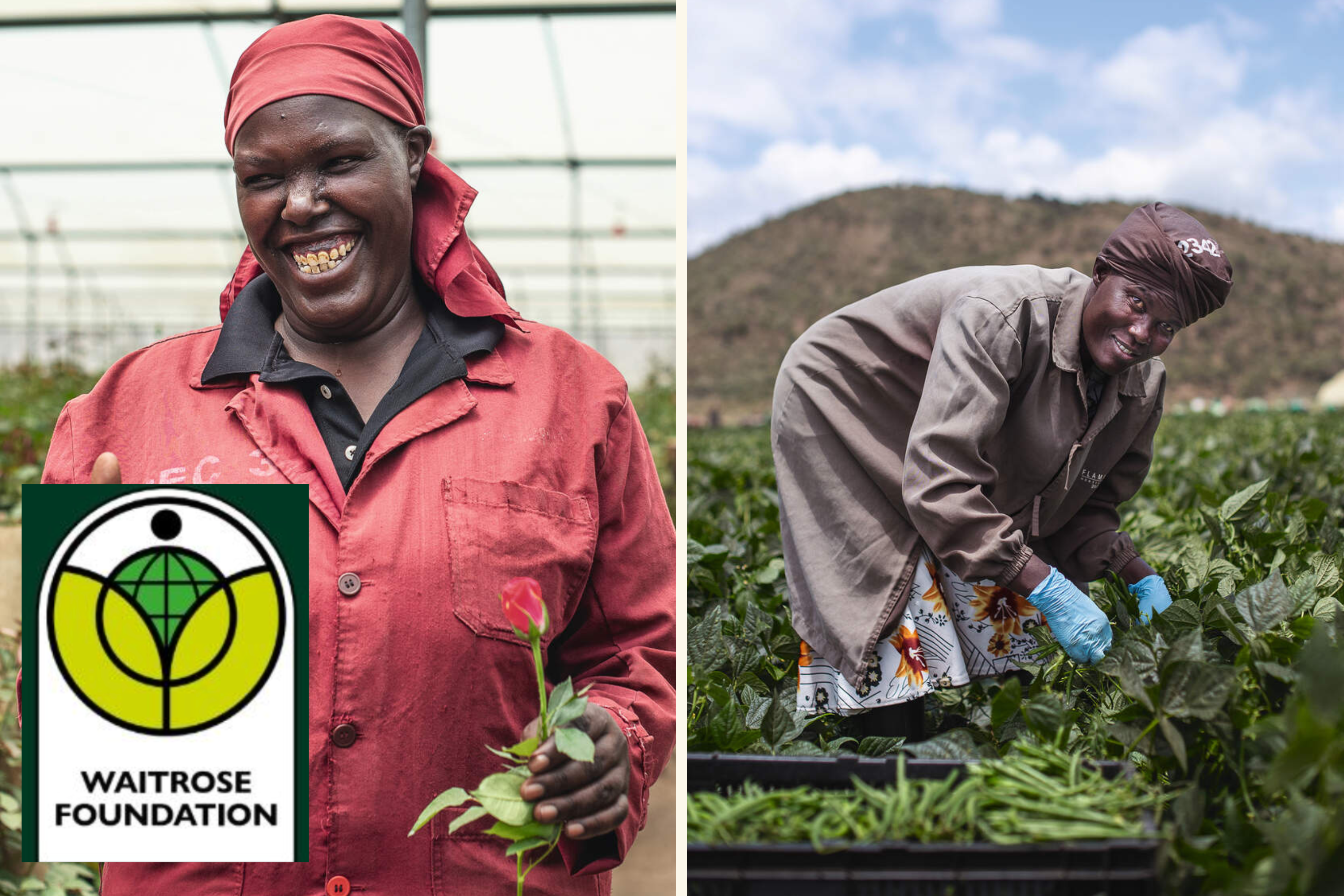 Farmers in Africa picking vegetables next to the Waitrose Foundation logo