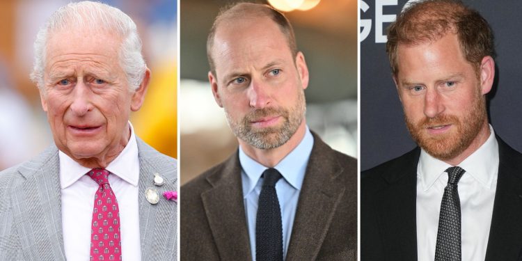 King Charles ‘deepened’ sons’ rift, claims biographer