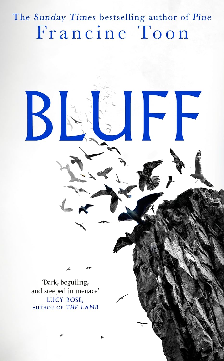 Bluff: the Chilling New Gothic Mystery From the Sunday Times Bestselling Author of Pine