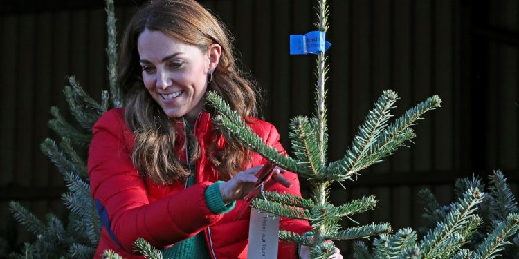 Kate Middleton’s Christmas tree rule makes so much sense