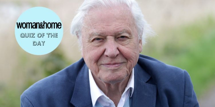 Adore Sir David Attenborough? Quiz yourself on his incredible life and career