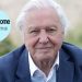 Adore Sir David Attenborough? Quiz yourself on his incredible life and career